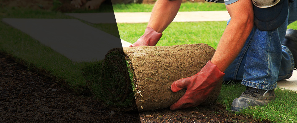 Long Valley Landscapers